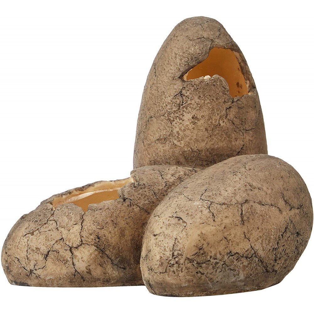 Exo terra dinosaur eggs shop