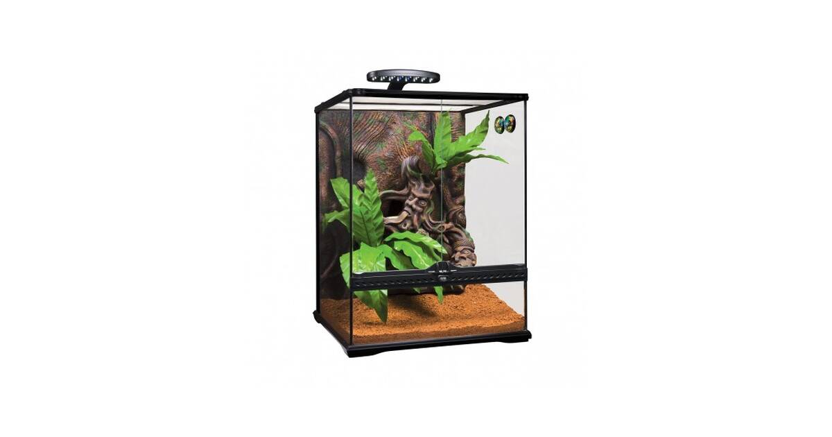 Exo Terra Crested Gecko Terrarium Large 45 x 45 x 60 cm