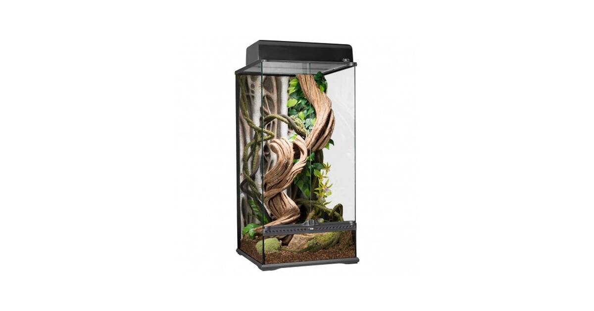 Exo terra 36 x 18 x 36 glass terrarium outlet