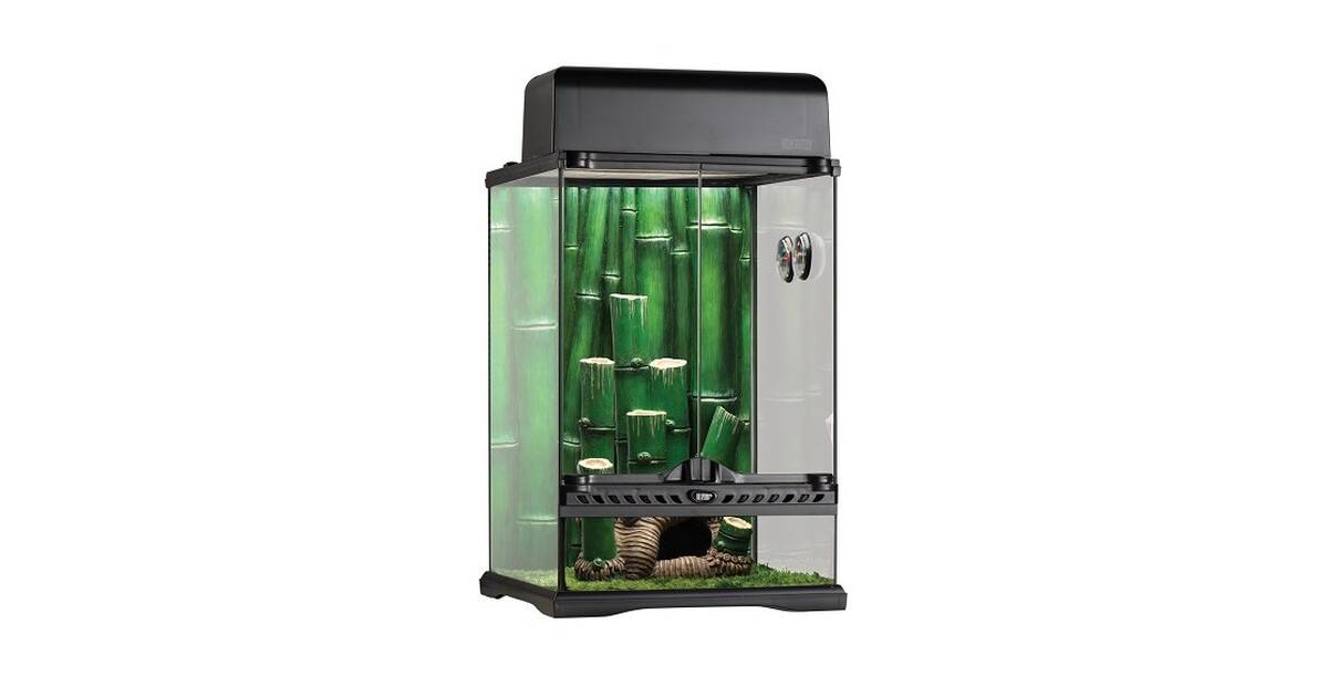 Exo Terra Terrarium Bamboo Forest Small 30x30x45 cm
