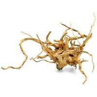 ΕΣΩΤΕΡΙΚΗ ΔΙΑΚΟΣΜΗΣΗ image