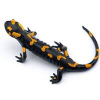 SALAMANDERS image