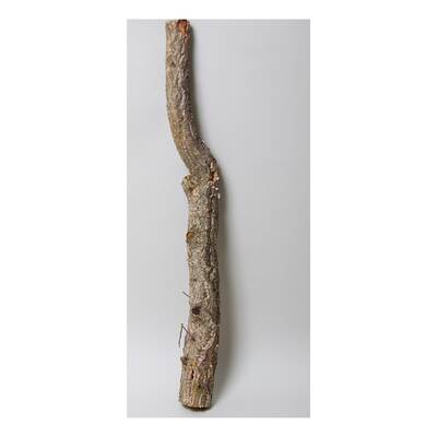 Decorative Cork Tronchos 100cm