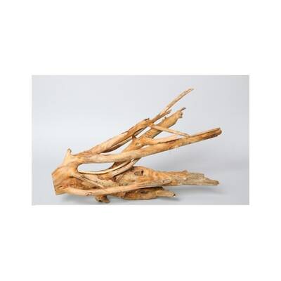 Driftwood White  70-90 cm