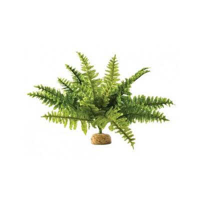 Exo Terra Boston Fern - Medium