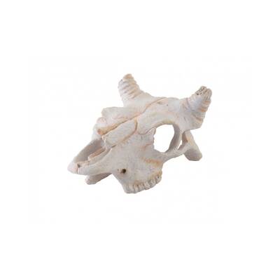 Exo Τerra Buffalo Skull Small