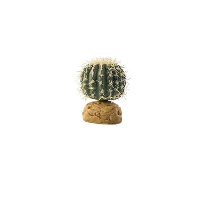 Exo Terra Desert Plants Barrel Cactus - Small