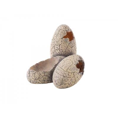 Exo Terra Dinosaur Eggs