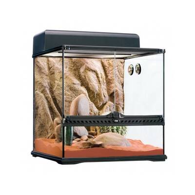 Exo Terra Habitat Kit Desert Medium 45x45x45 cm (starter kit)