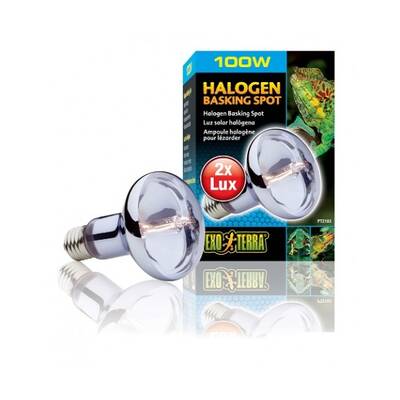 Exo Terra Halogen Basking Spot 100W