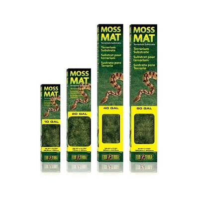 Exo Terra Moss Mat Small 45 x 45 cm