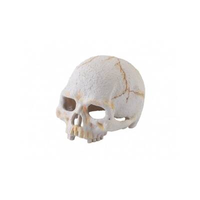 Exo Τerra Primate Skull S