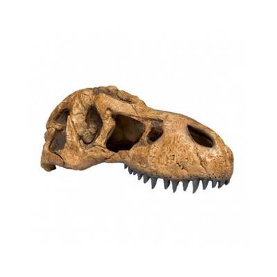 Exo Τerra T-Rex Skull