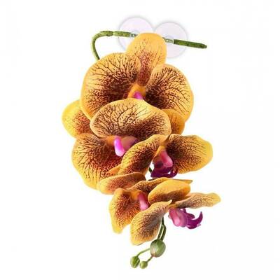 Pangea Hanging Orchids Yellow