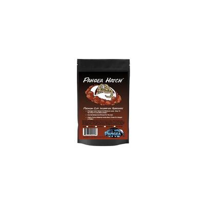 Pangea Reptile Hatch 454gr