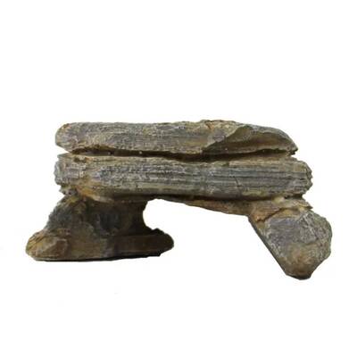 Reptiles Planet Napa Valley Stone Decoration L 16x15x7cm