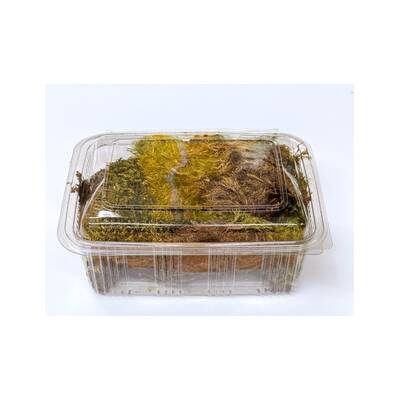 Thick Moss (2.5lt)