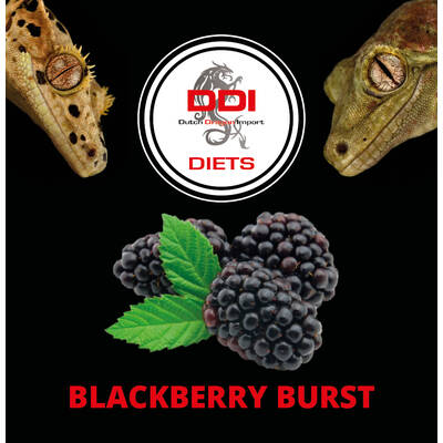 DDI Diets Blackberry Burst 60gr