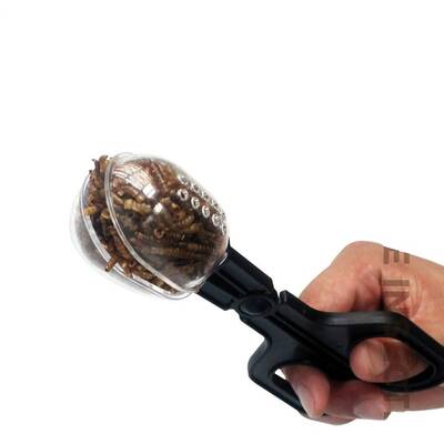Reptiles Planet Insect Catcher