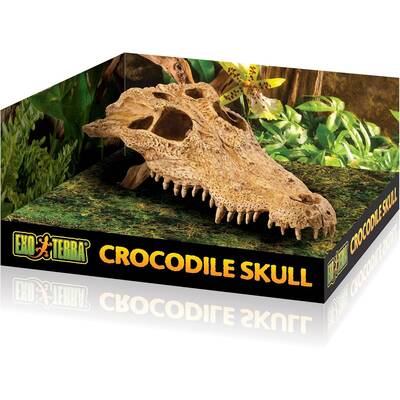 Exo Τerra Crocodile Skull