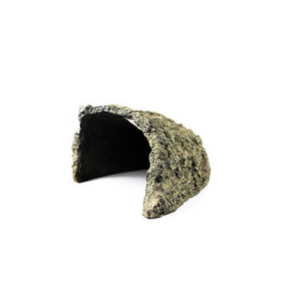 Reptiles Planet Waitomo Cave Decoration XL 26x23x13cm