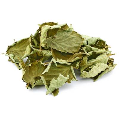 Dried Hazelnut Leaves (30 pieces)