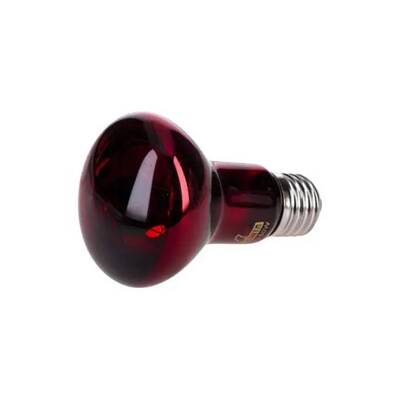 Reptiles Planet Infrared 75W