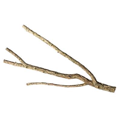 Decorative Cork Tronchos Branched 80-100cm