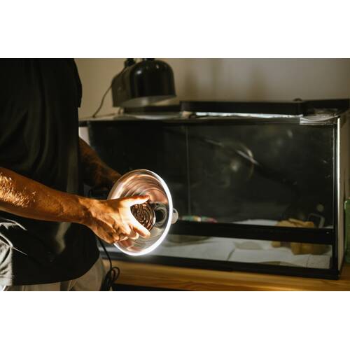 Πώς να φτιάξετε ένα terrarium;