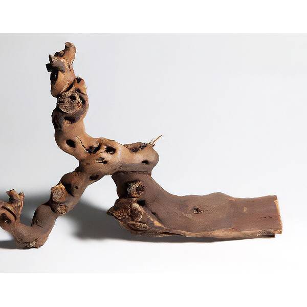 Vine Root Small 30-40 cm