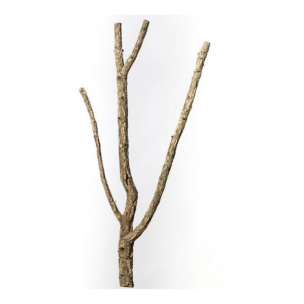 Decorative Cork Tronchos Branched 80-100cm