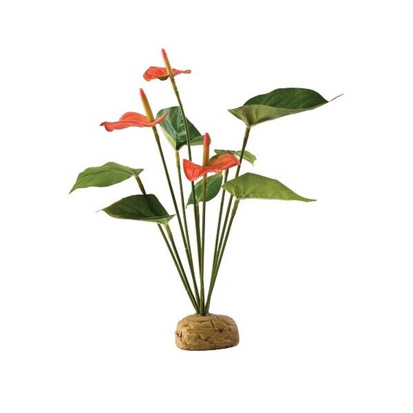 Exo Terra Anthurium Bush Exo Terra Anthurium Bush