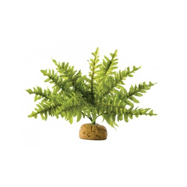 Exo Terra Boston Fern - Small
