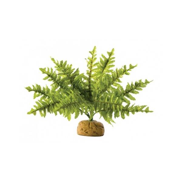 Exo Terra Boston Fern - Small