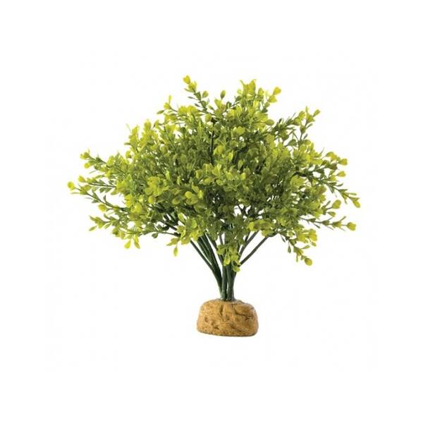 Exo Terra Boxwood Bush Exo Terra Boxwood Bush