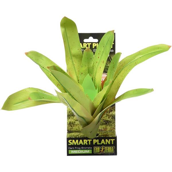 Exo Terra Bromelia - Smart Plant Medium Vriesea gigantea Exo Terra Bromelia - Smart Plant Medium Vriesea gigantea