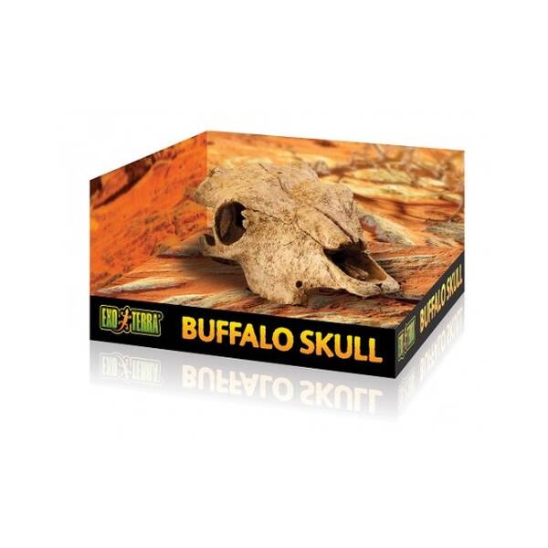 Exo Τerra Buffalo Skull Exo Τerra Buffalo Skull