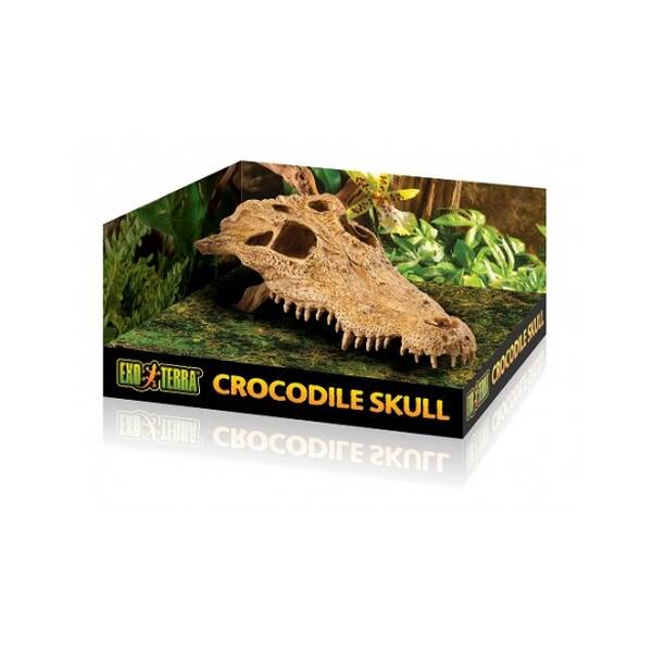 Exo Τerra Crocodile Skull