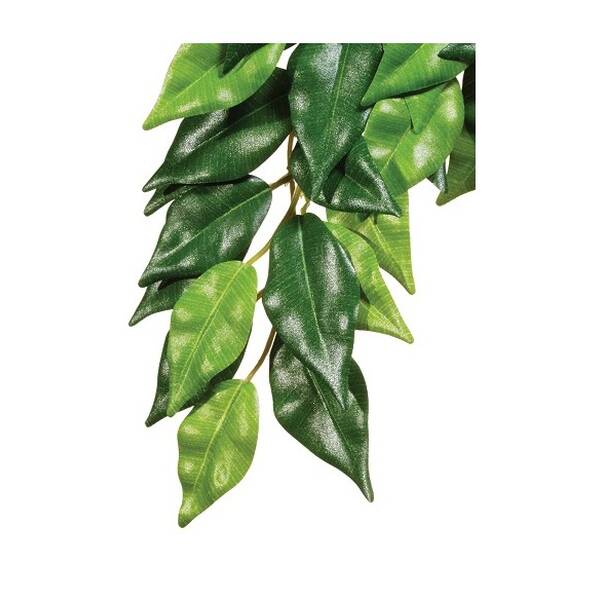 Exo Terra Ficus (Silk) Large