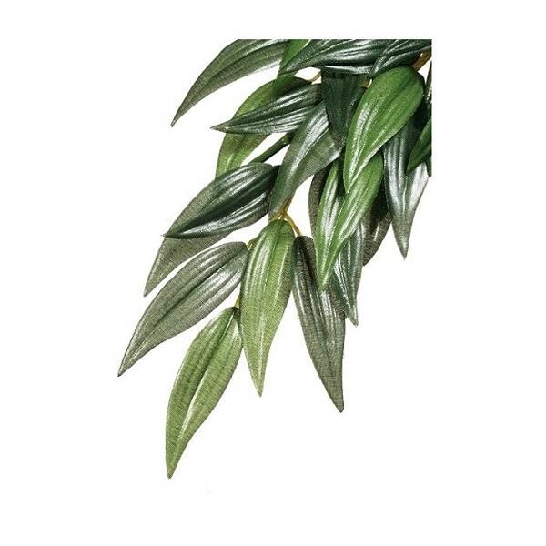 Exo Terra Φυτά Rucus (Silk) Medium Exo Terra Φυτά Rucus (Silk) Medium