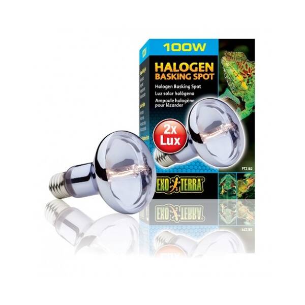 Exo Terra Halogen Basking Spot 100W