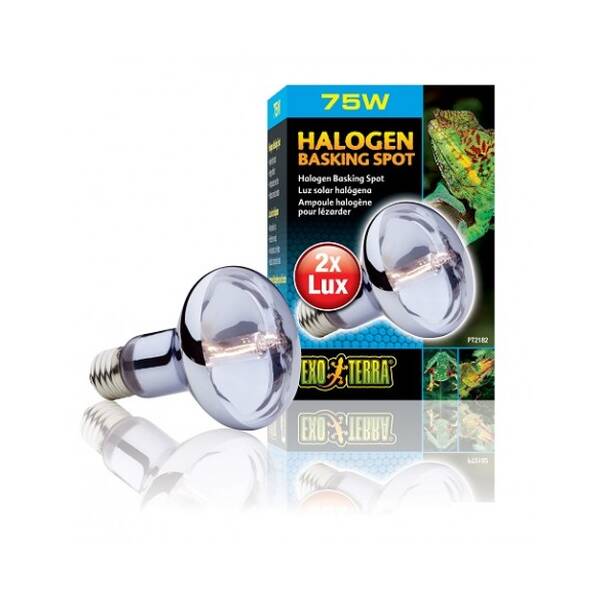 Exo Terra Halogen Basking Spot 75W