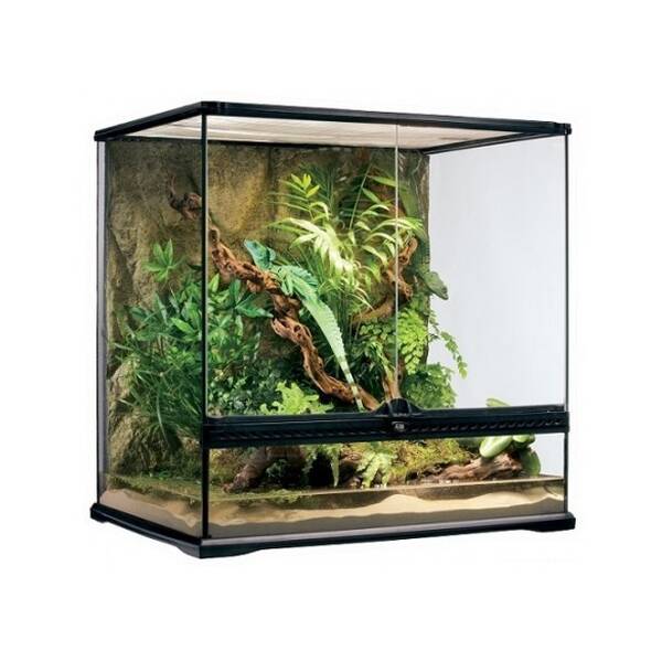 Exo Terra Natural Terrarium Medium/Tall 60x45x60 cm