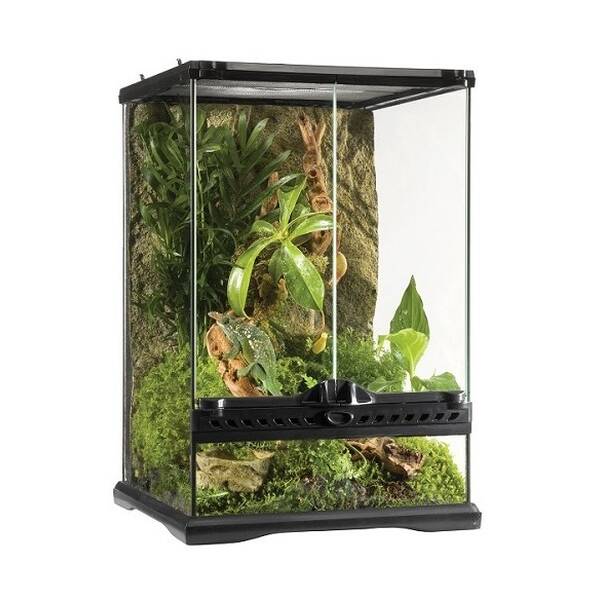 Mini reptile terrarium outlet