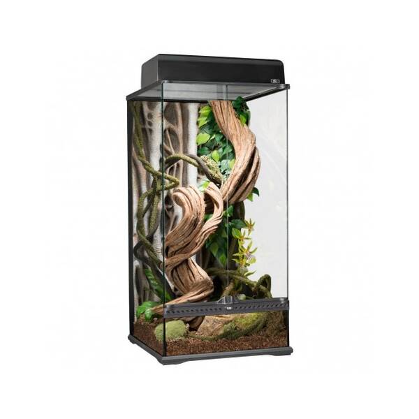 Exo Terra Rainforest Terrarium Small X Tall 45x45x90 cm