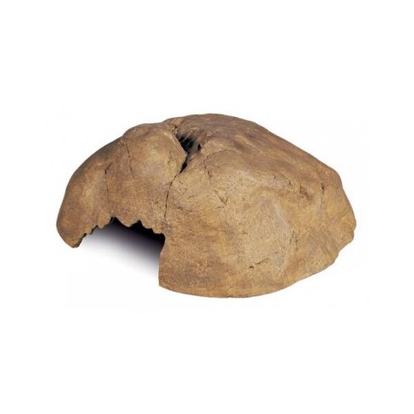 Exo Terra Reptile Cave X-Large Exo Terra Reptile Cave X-Large