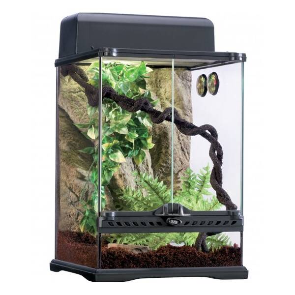 Exo Terra Terrarium Habitat Kit Rainforest Small30x30x45 cm