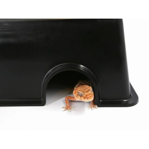 Pangea Humidity Hide Medium Pangea Humidity Hide Medium