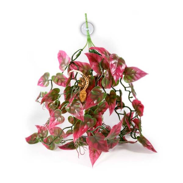 Pangea Plants Red Pangea Plants Red