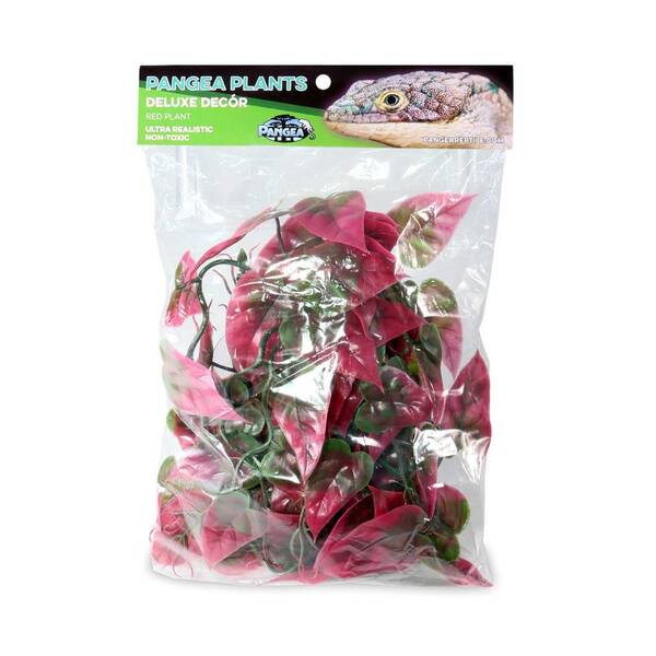 Pangea Plants Red